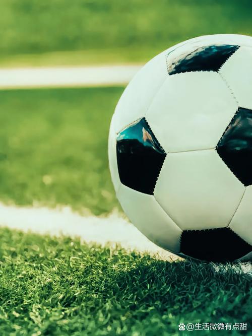 21025期足彩对阵表应用界面展示